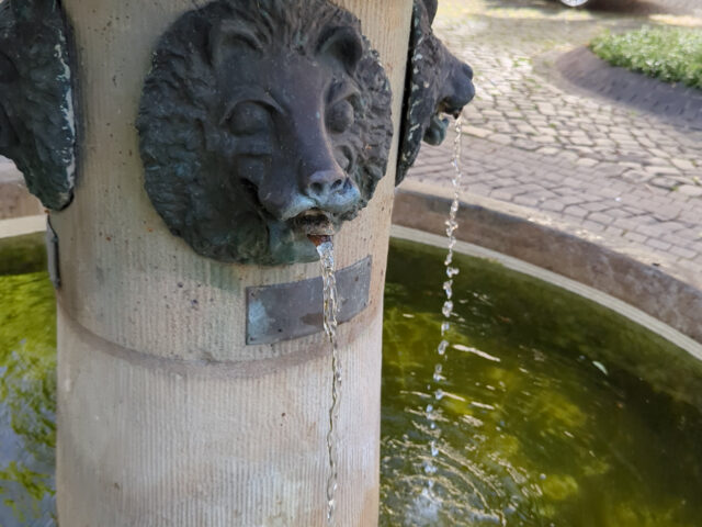 Marktrestaurant, Zscherngasse, Delitzsch