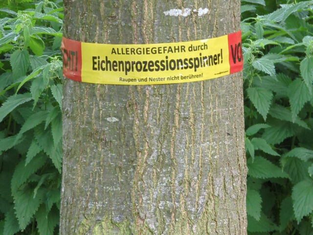 Erzbergerstraße, Delitzsch