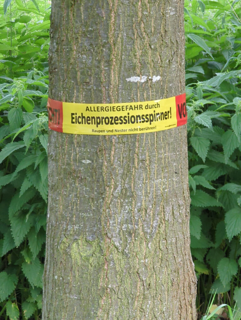 Erzbergerstraße, Delitzsch