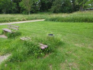 Holzbank in der Natur