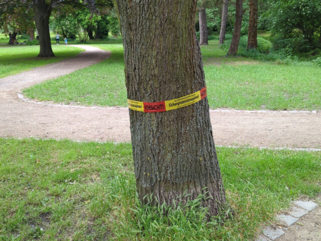 Securiusstraße, Delitzsch