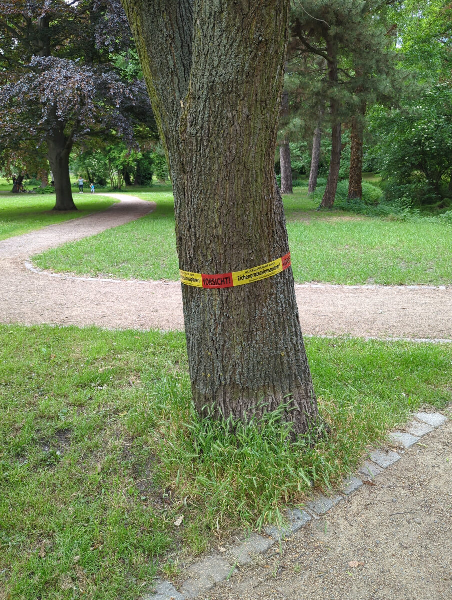 Securiusstraße, Delitzsch