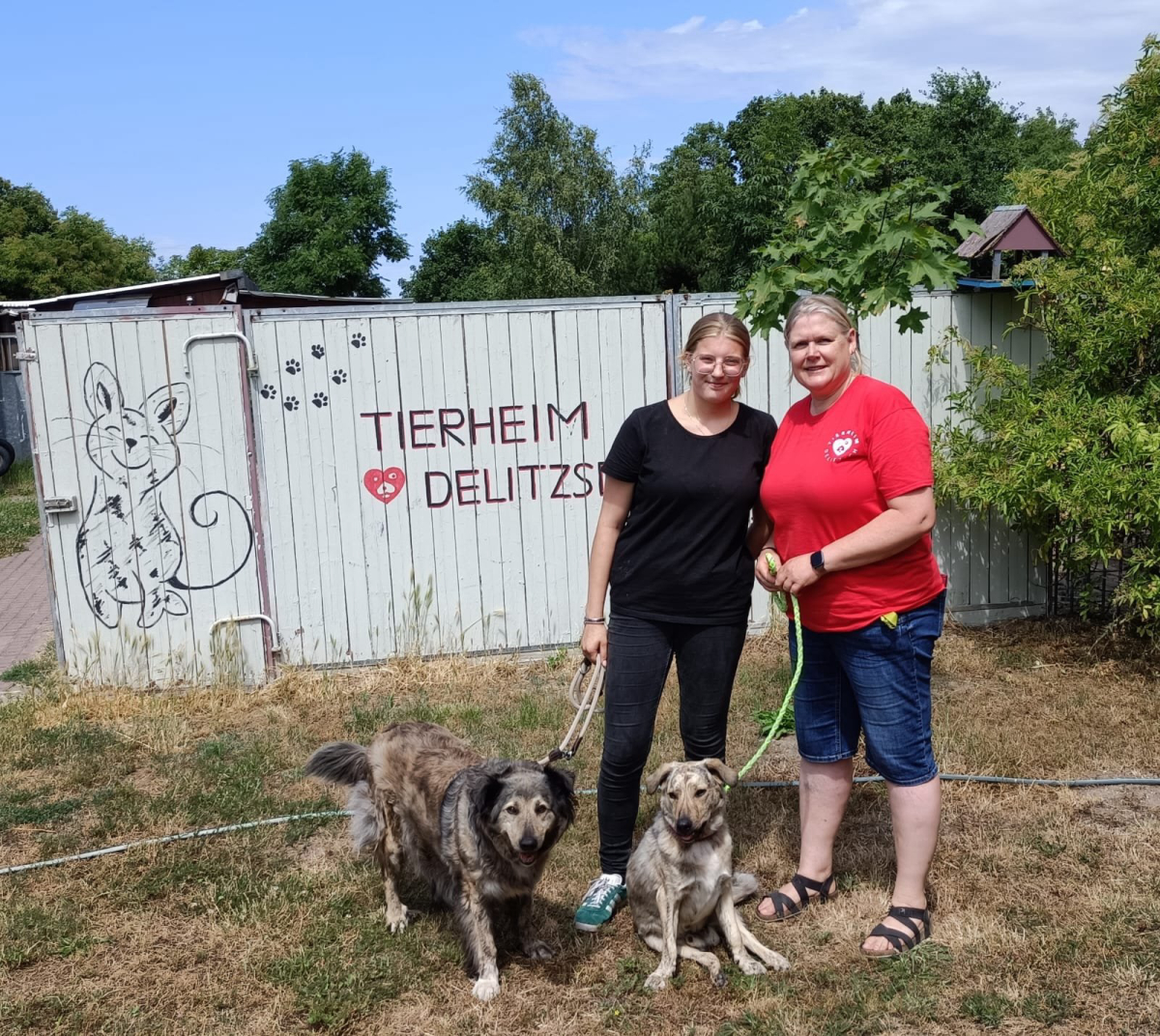 Tierheim Delitzsch: Wo Fürsorge und harte Arbeit aufeinandertreffen