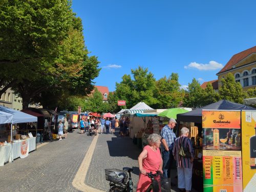 Abendmarkt geht los: Kulinarische Vielfalt und regionale Weine