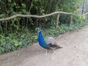 Tiergarten Delitzsch: Ab Oktober gelten kürzere Öffnungszeiten