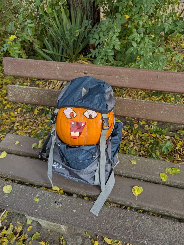 Bemalter orangefarbener Kürbis in einem Rucksack auf einer Bank im Tiergarten