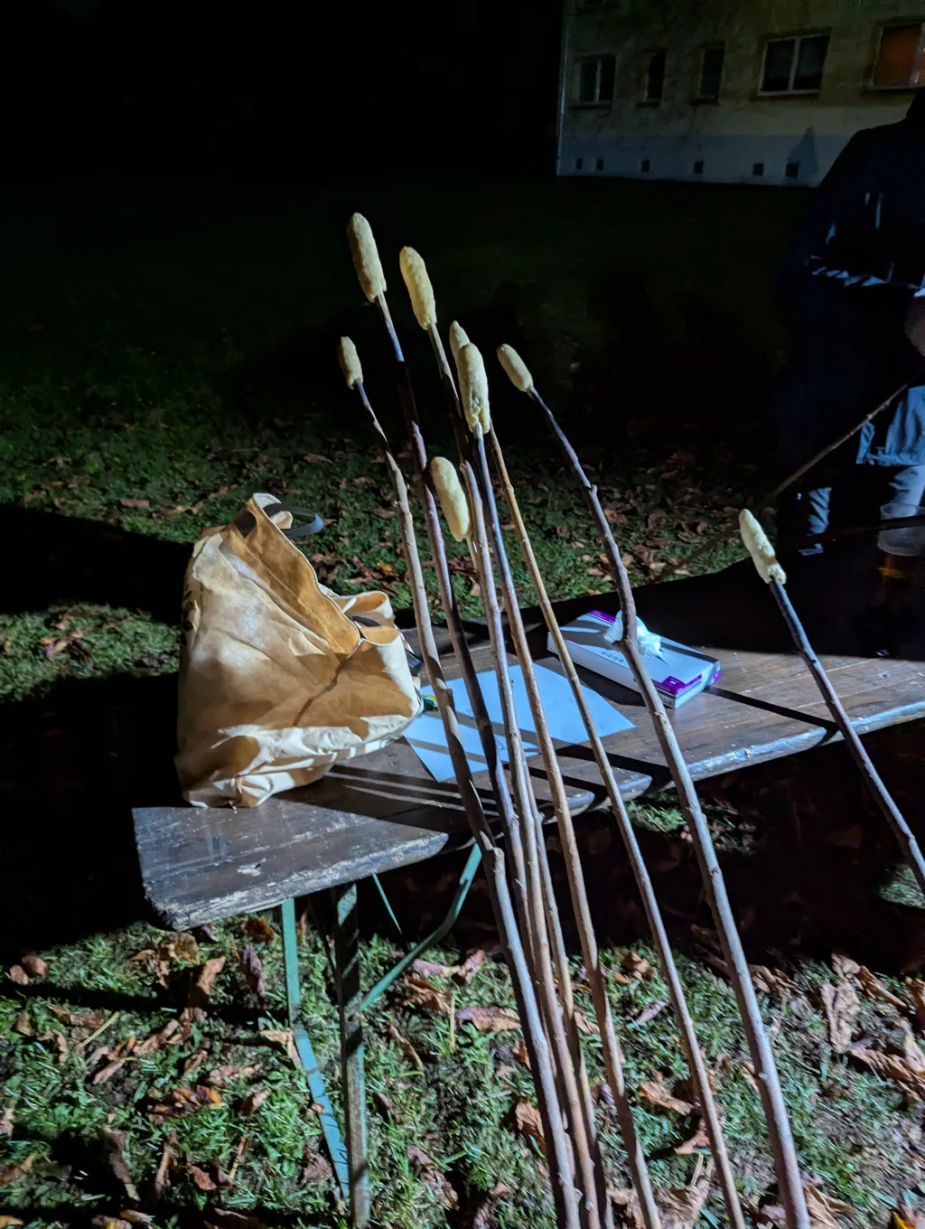 Stockbrot am Feuer Rohes Stockbrot auf langen Stöcken zur Vorbereitung des Lamping-Jungen-Umzugs in Döbernitz